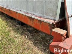 IMG_8728.jpeg
