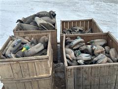 Large Quantity Of Duck And Goose Decoys 