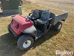 Toro Golf/Lawn & Garden Utility Cart 