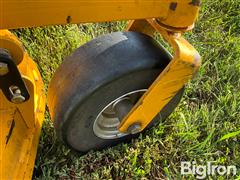 IMG_8365.jpeg