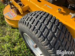 IMG_8363.jpeg