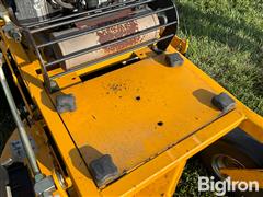 IMG_8354.jpeg