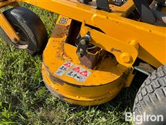 IMG_8355.jpeg