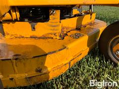 IMG_8356.jpeg