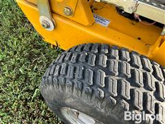 IMG_8367.jpeg