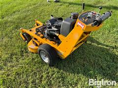 IMG_8335.jpeg