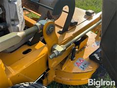 IMG_8359.jpeg