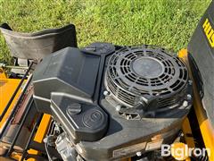 IMG_8339.jpeg