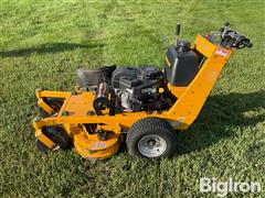 IMG_8336.jpeg