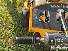 IMG_8349.jpeg