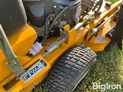 IMG_8353.jpeg