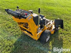 IMG_8333.jpeg