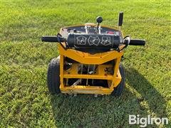 IMG_8334.jpeg