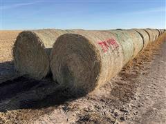 Millet (Forage) Hay Big Round Bales 