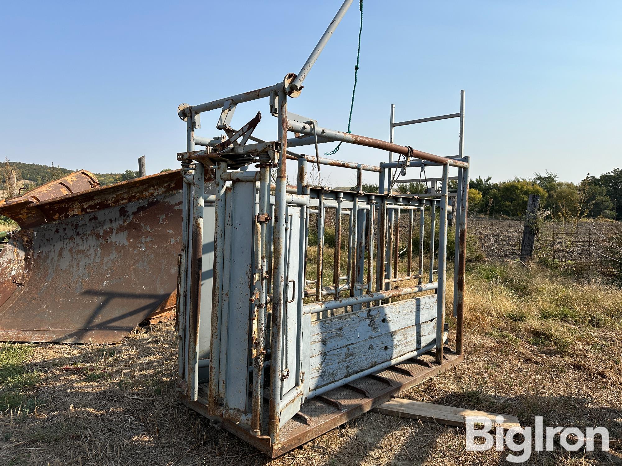 Pearson Livestock Working Chute 