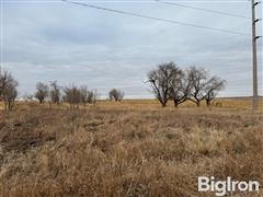 Tract 8: 44.42+/- Acres Sully County, SD