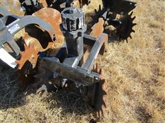 IMG_4490.JPG