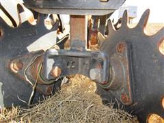 IMG_4491.JPG