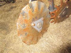 IMG_4493.JPG