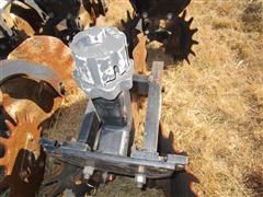 IMG_4492.JPG