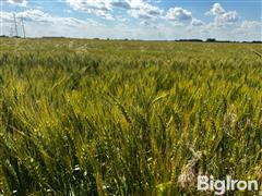 Tract 3: 72.21 Acres Reno County, KS