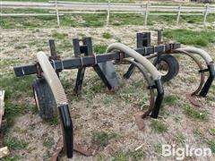IMG_0333.JPG