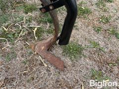 IMG_0340.JPG