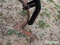 IMG_0336.JPG