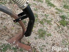 IMG_0337.JPG