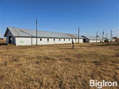 Horse Barns 