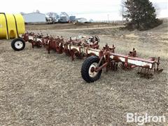 Lilliston Rolling Cultivator 