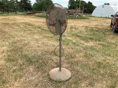 Dayton S60CXDNR-4610 Pedestal Fan 