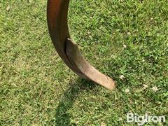 05ab4b78513d4ce38dd9bb31a0b4a930.jpg