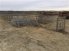 Calf Cages 