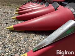 IMG_3507.jpeg