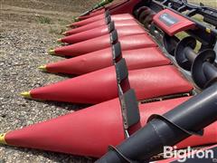 IMG_3506.jpeg