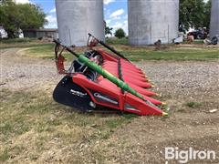 IMG_3461.jpeg