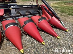 IMG_3479.jpeg