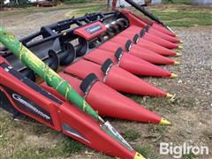 IMG_3482.jpeg