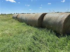 Crab Grass Hay 