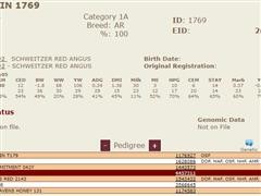 1769Pedigree.JPG