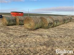 Net Wrap 4th Cutting Alfalfa Round Bales 