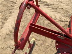 IMG_1636.jpeg