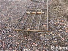 IMG_4785.jpeg