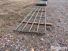 IMG_4781.jpeg