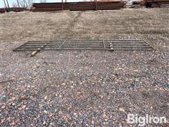 IMG_4779.jpeg