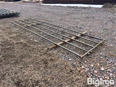 IMG_4782.jpeg