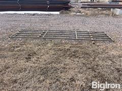 IMG_4783.jpeg