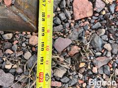 IMG_4789.jpeg
