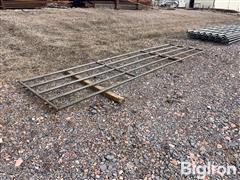 IMG_4780.jpeg